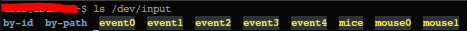 ls /dev/input