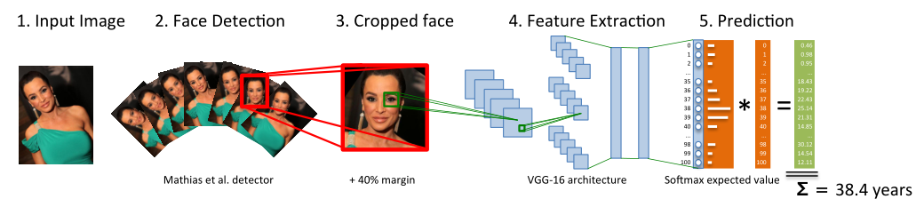 DEX：Deep EXpectation of apparent age from a single image（面部矫正+VGG-16 年龄估计）