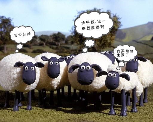 Flock, baa, baa, baa