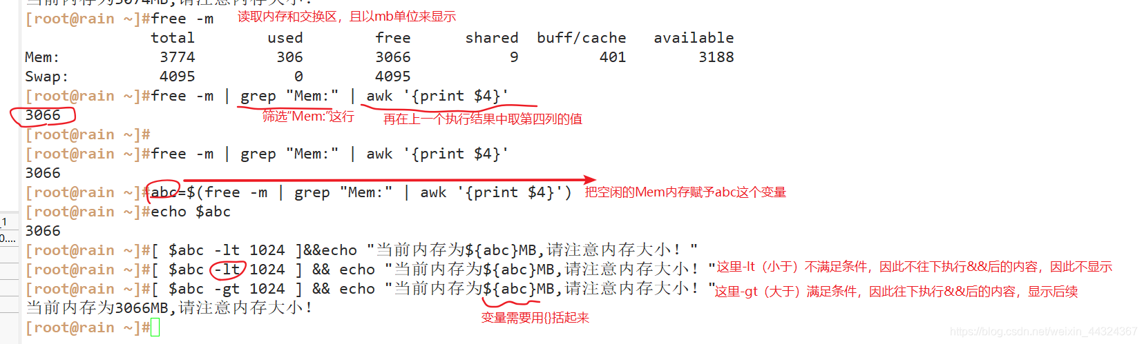 ここに画像の説明を挿入します