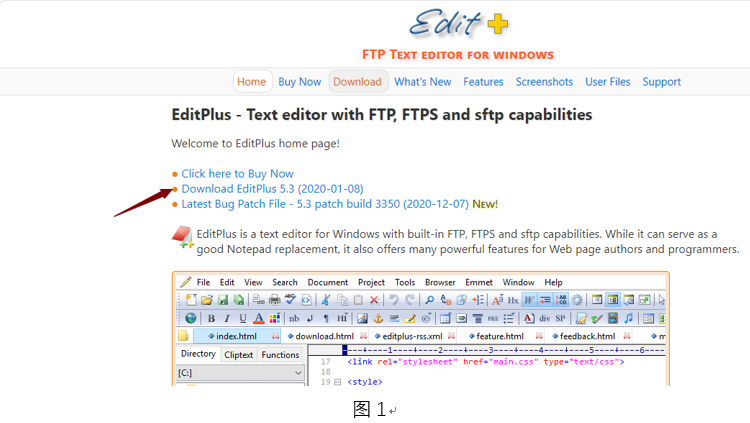 editplus download an ftp file