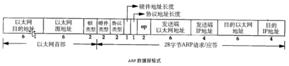 linux的基础知识——以太网帧格式