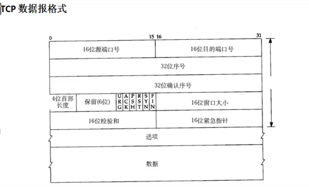 linux的基础知识——IP，UDP和TCP