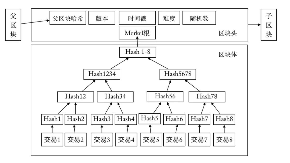 从图上可知,比特币的结构分为区块头和区块体,其中区块头细分为