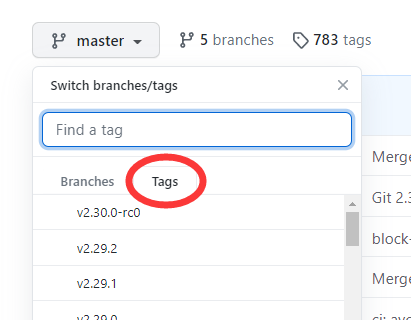 在 Github 查看你的 tags