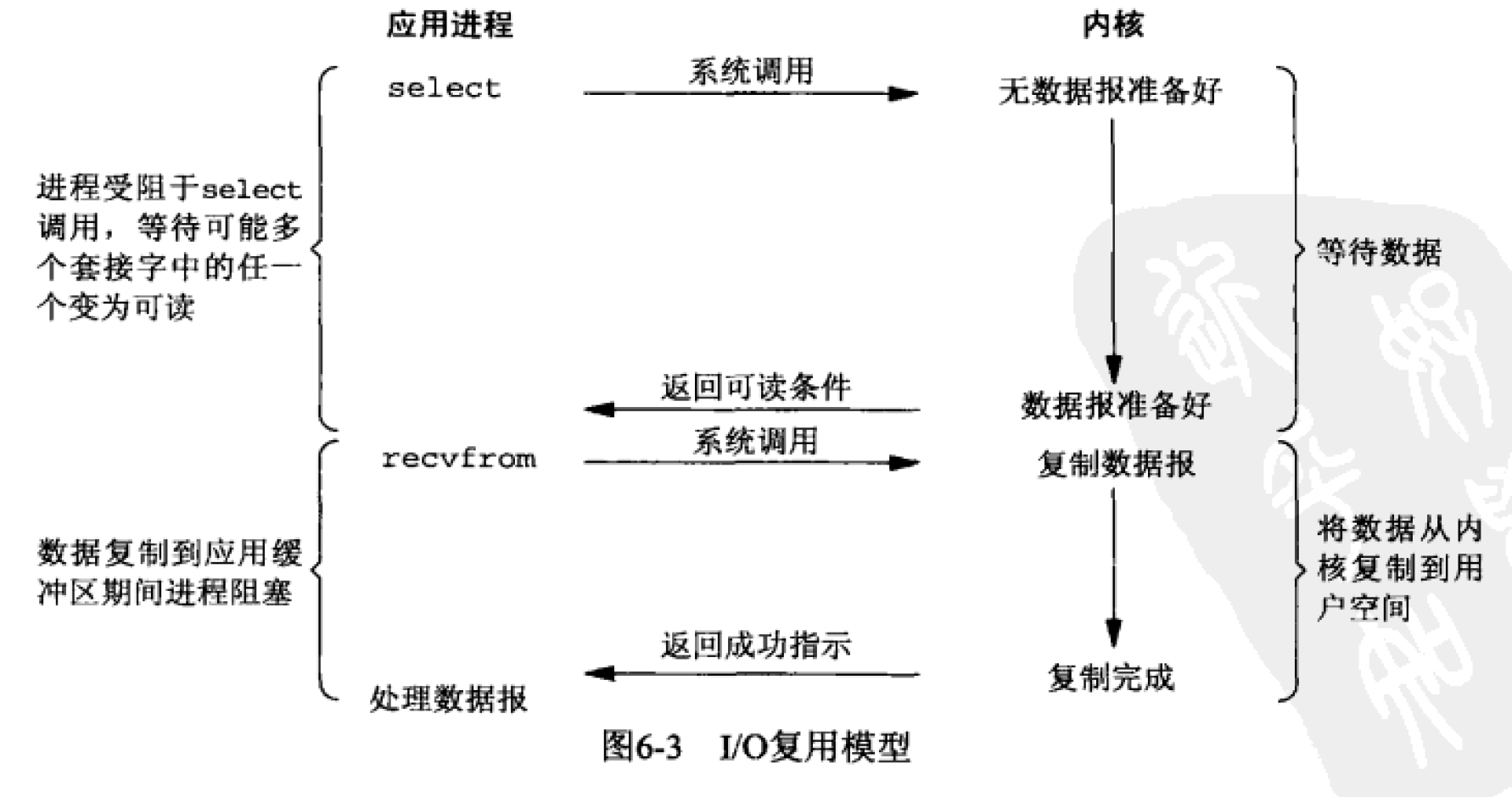 IO复用模型