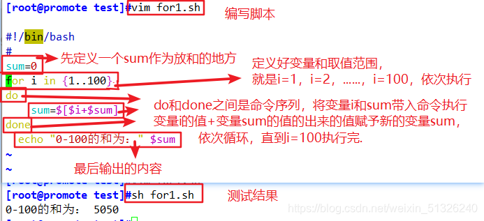 偷偷学习shell脚本之循环语句和转义字符 Lijunjie 的博客 Csdn博客 偷偷学习shell脚本之循环语句和转义字符 Lijunjie 的博客 Csdn博客