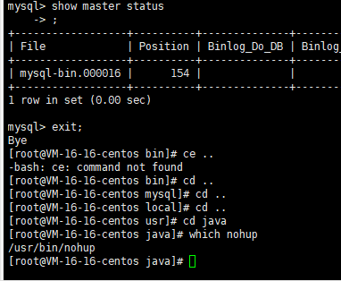 Linux nohup не работает