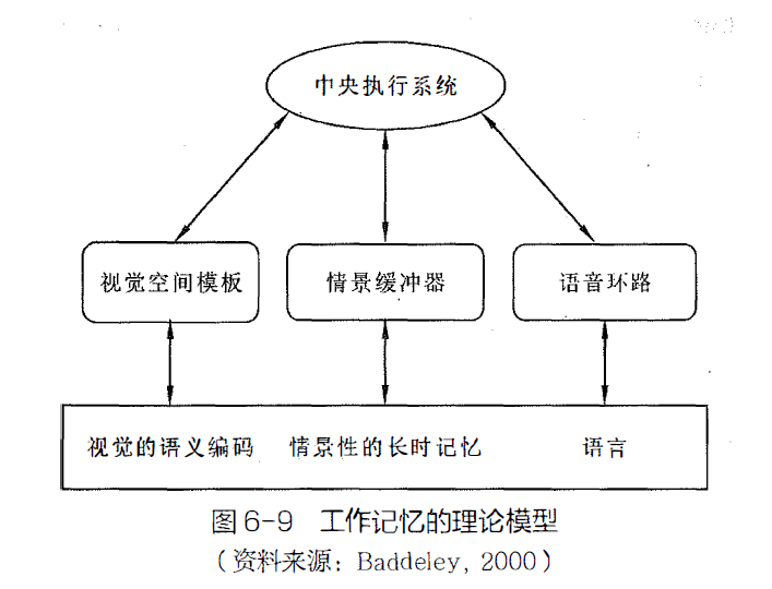 阿特金森三级记忆模型图片