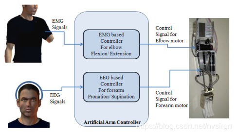 ここに画像の説明を挿入