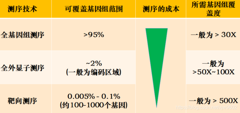 测序技术