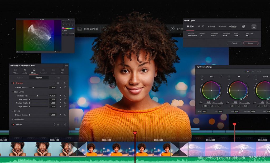 Blackmagic Design DaVinci Resolve Studio 17