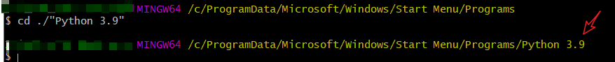 成功进入python3.9目录