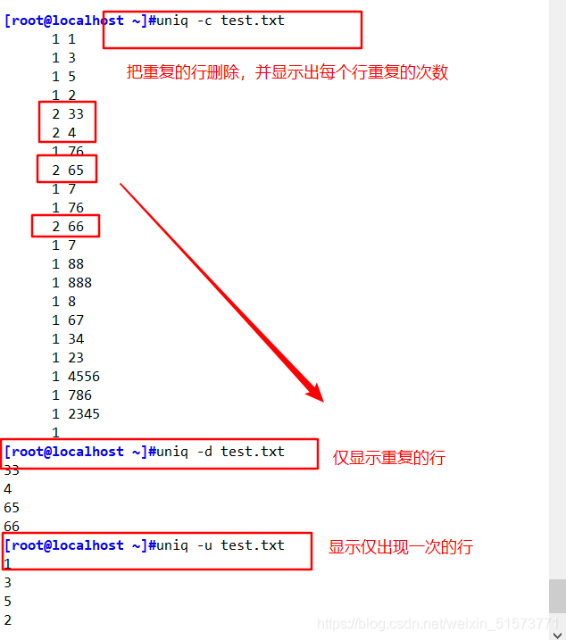 ここに写真の説明を挿入