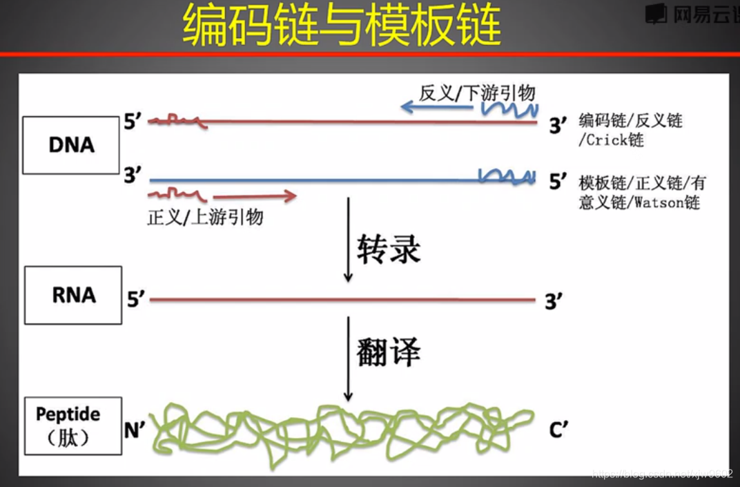 RNA_seq生物分析学习--RNA-seq实验_rnaseq样本要求-CSDN博客