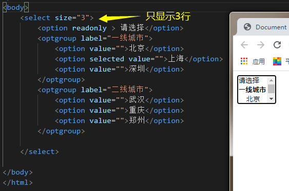 input表单各种框/按钮和下拉框_input下拉框-CSDN博客