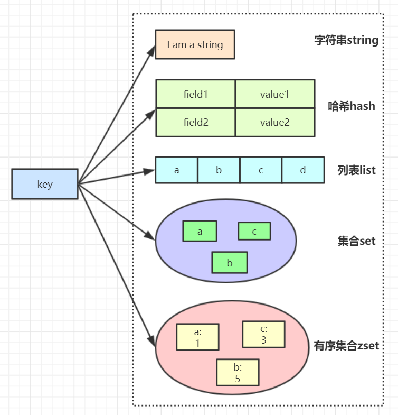 redis基本类型
