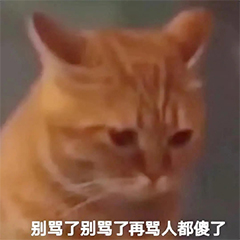 在這裡插入圖片描述