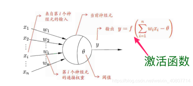 神经元结构