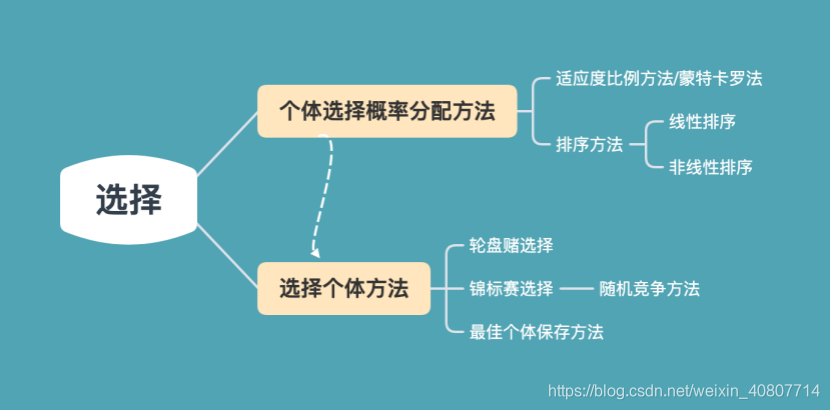 选择流程及方法总结