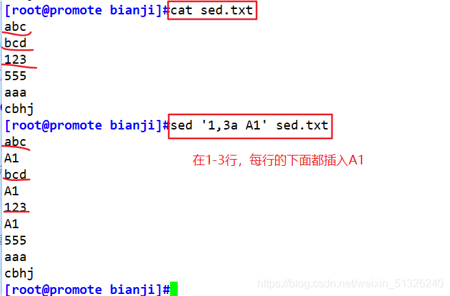 ここに画像の説明を挿入