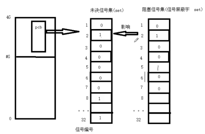 linux的基础知识——信号的概念