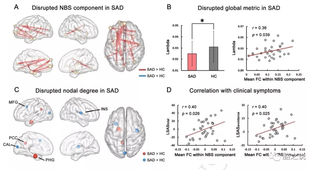 neuroimage脑网络分析揭示社交焦虑症患者的大脑功能环路异常