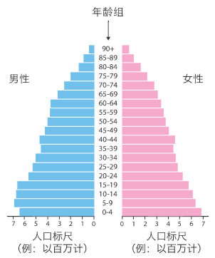 绘制人口金字塔_人口金字塔图