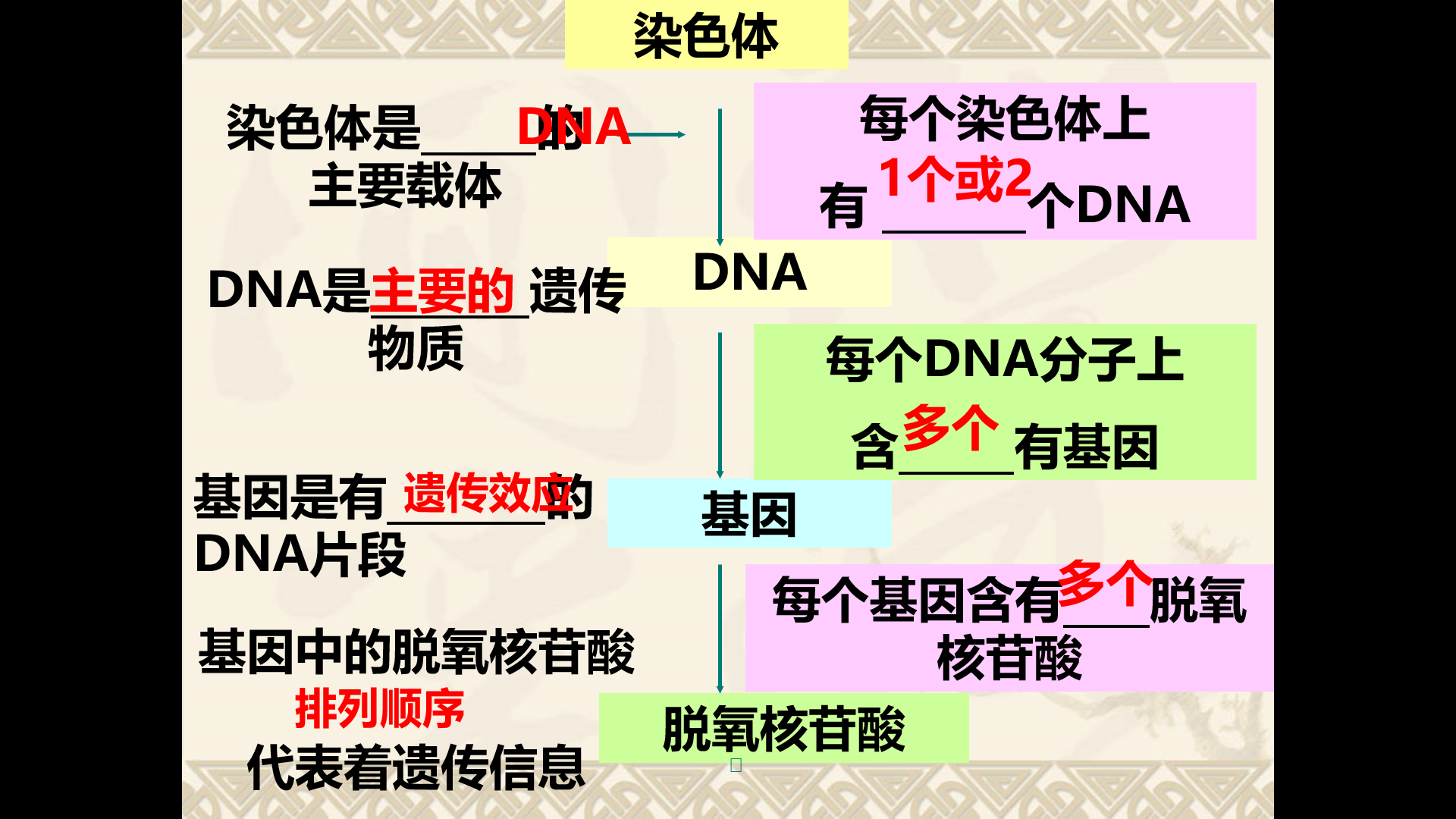 伊红美蓝染色原理图片