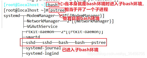 ここに画像の説明を挿入