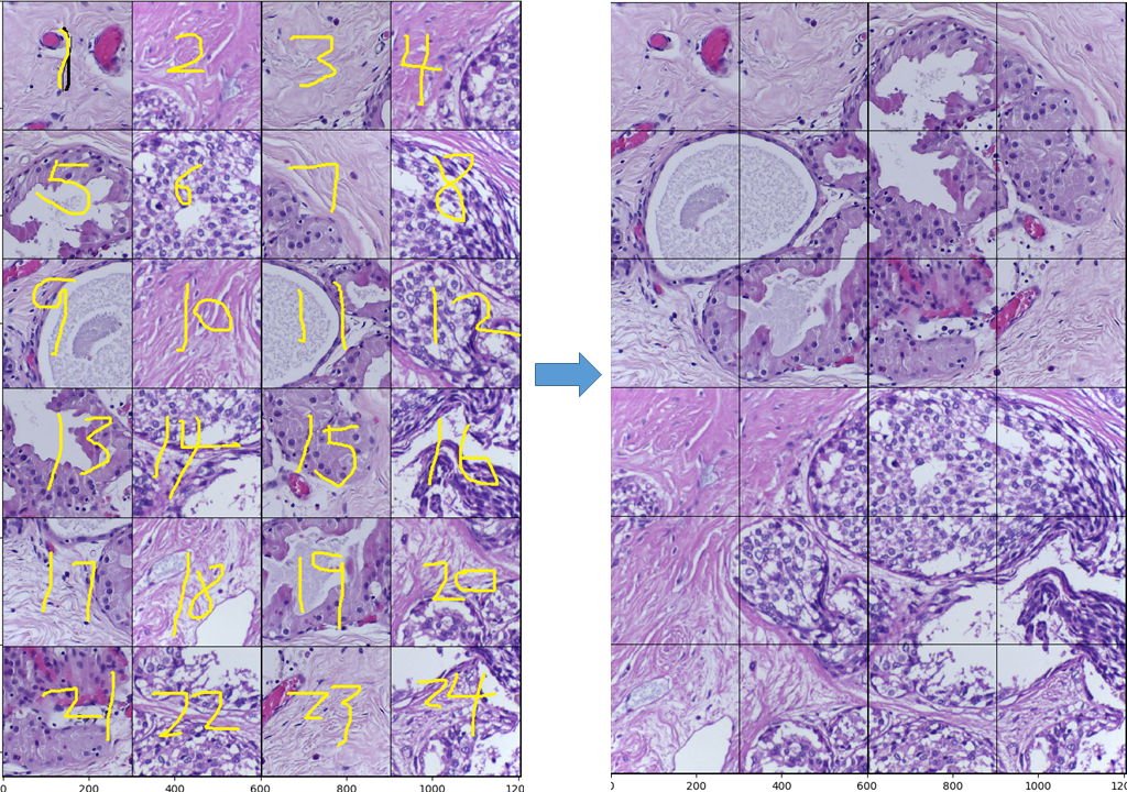 Pytorch 实现tf.gather()函数的功能_tf.gather对应pytorchCSDN博客
