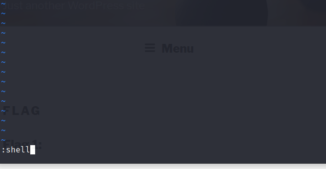 过受限制的 bin bash rbash vi法和PATH法