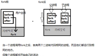 在這裡插入圖片描述