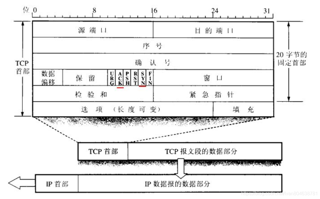 【TCP/IP详解】TCP报文格式-CSDN博客