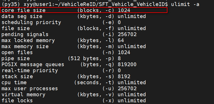 Linux遇到Aborted (core dumped)