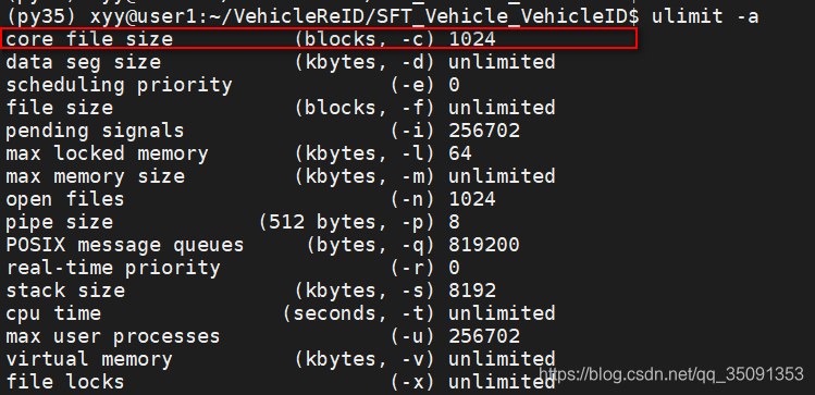 Linux遇到Aborted (core dumped)