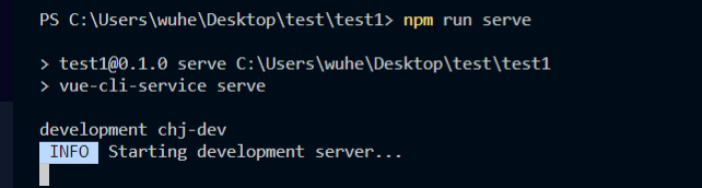 npm run serve