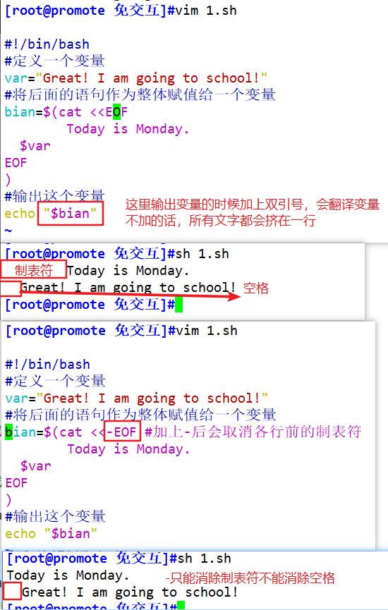 分享 偷偷学习shell脚本之免交互 Eof免交互 Expect免交互 1024toyou Com