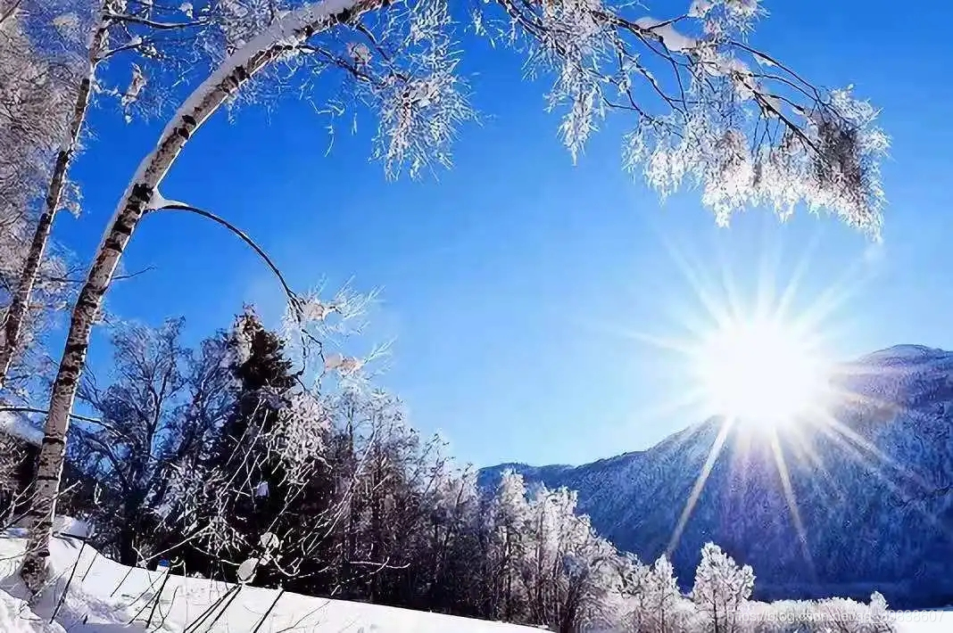 
   
- 在这里插入图片描述
