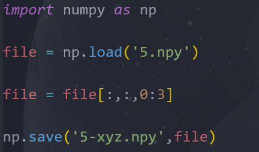 python npy文件读取_npy格式