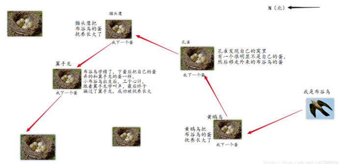 优化算法｜布谷鸟算法原理及实现