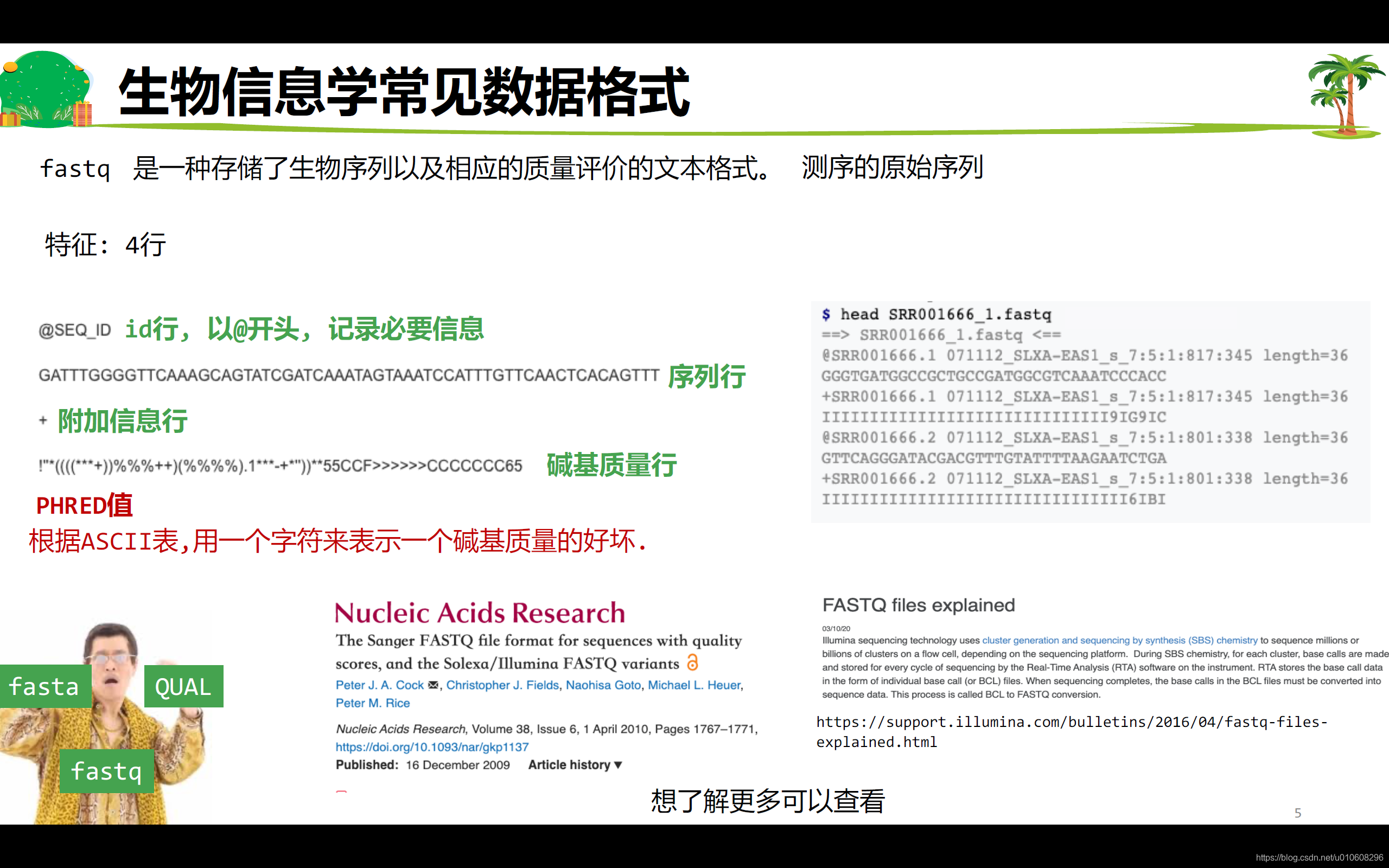 生物信息学常见数据格式• fasta • fastq • gff/gtf_生物信息学序列格式