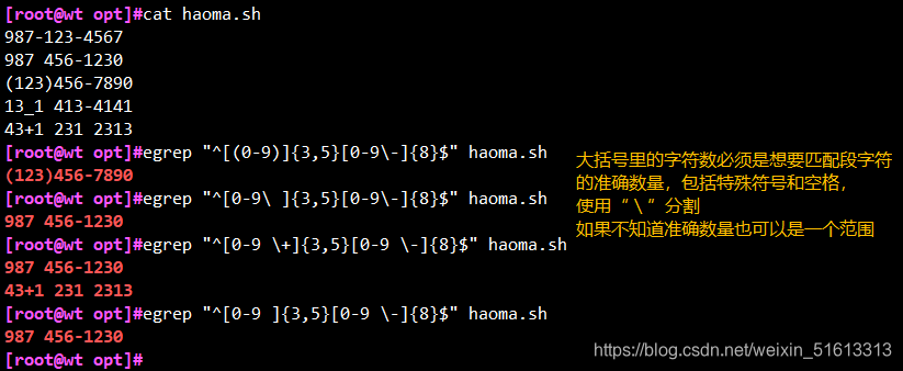 shell编程基础教学之正则表达式