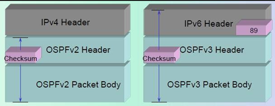 OSPFv3基础和与v2的对比