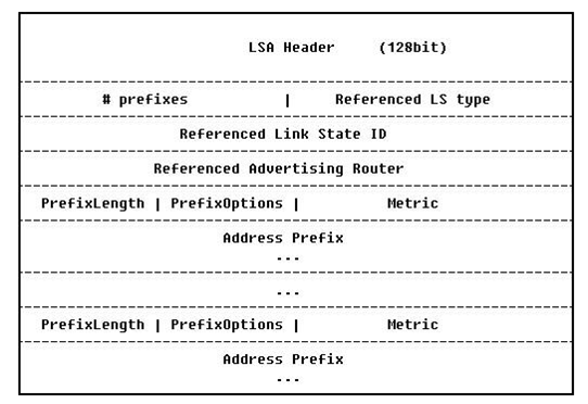 OSPFv3报文格式与作用分析