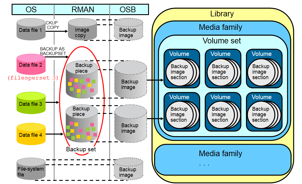 ORACLE_OCP之RMAN的安全备份（OSB）_oracle Secure Backup-CSDN博客