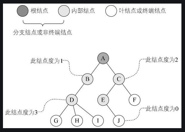 树的结点？结点的度？