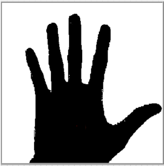 我认为对于人眼来说,在黑白或者低像素的情况下识别左手或右手都是一