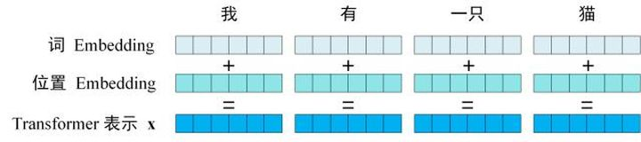 Transformer 的输入表示