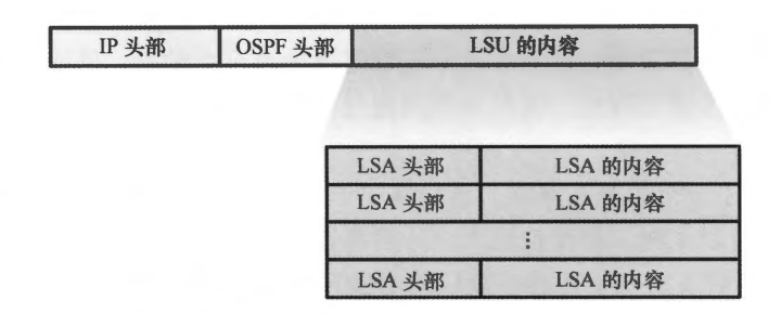 LSA及特殊区域_type-4 lsa什么时候会存在,其作用是?-CSDN博客